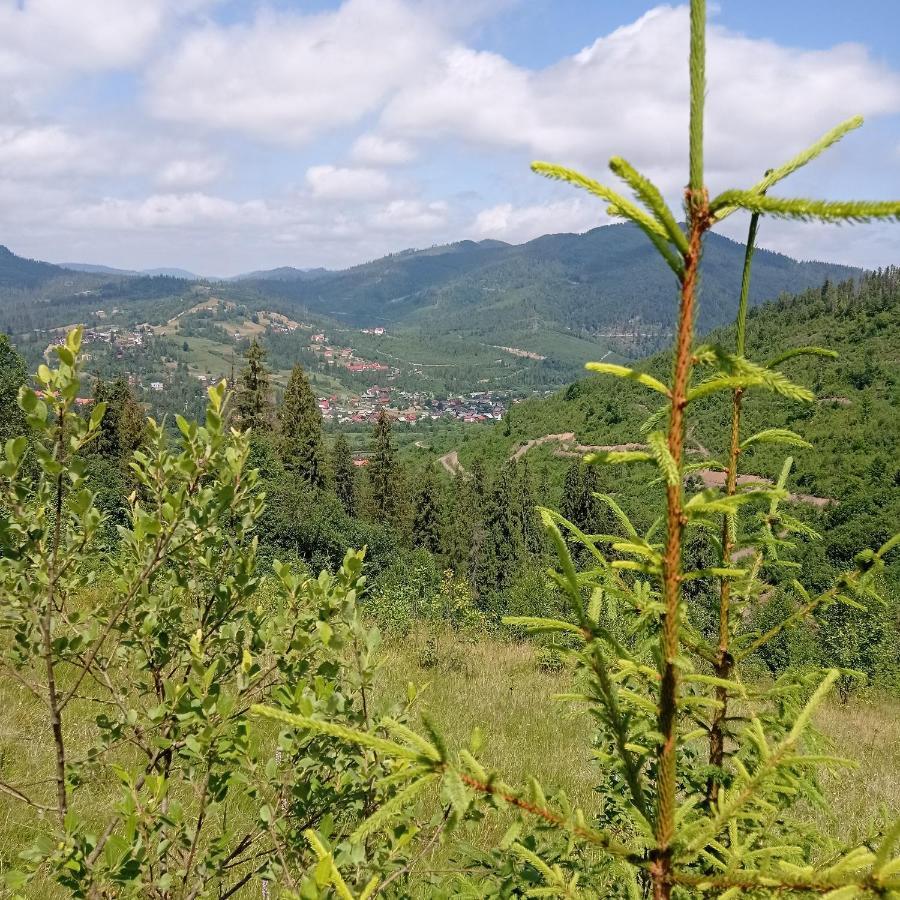 Ecottage Котедж Для Двох У Горах Із Чаном-Джакузі Славске Екстериор снимка